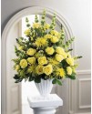 Glowing Ray Arrangement
